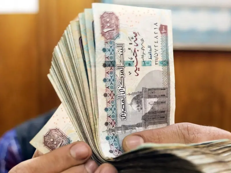 الحق شوف.. موعد نزول الرواتب لشهر يناير 2024 بالزيادة الجديدة لجميع الموظفين والبنوك