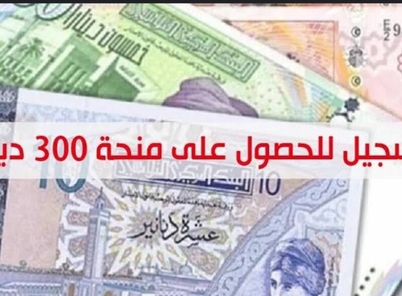 طريقة الحصول علي منحة 300 دينار في تونس 2024 عبر موقع وزارة الشؤون الاجتماعية eservices.social.gov.tn